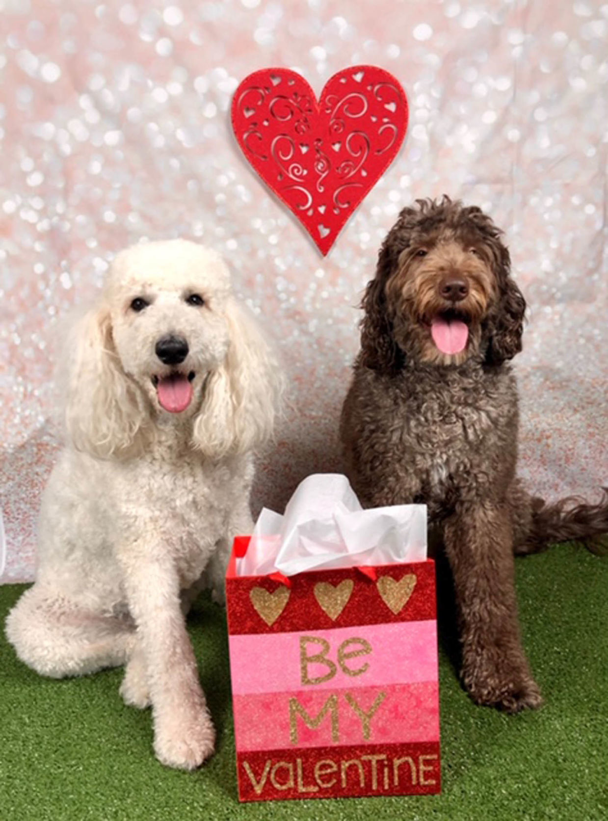 Valentine